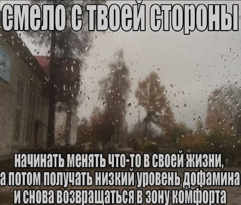 Ночная подборочка
Спать, режим