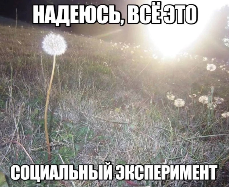 Утренняя подборочка