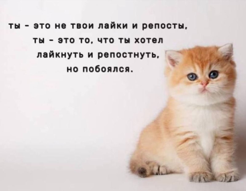 Утренняя подборочка