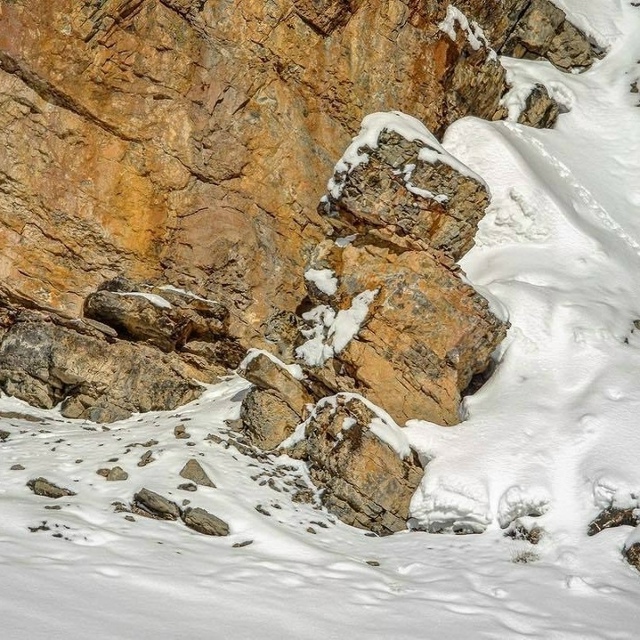 Сможете найти снежных барсов на этих фотографиях?
Ран?...