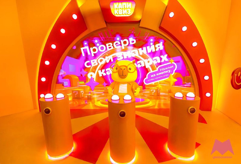 🐹 😍 Выставка «КАПИБАРАБУУУМ» открылась в «Москвариуме»
Более 500 м², семь залов и около двадцати и