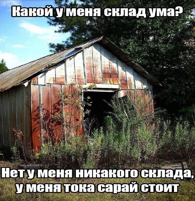 Утренняя подборочка