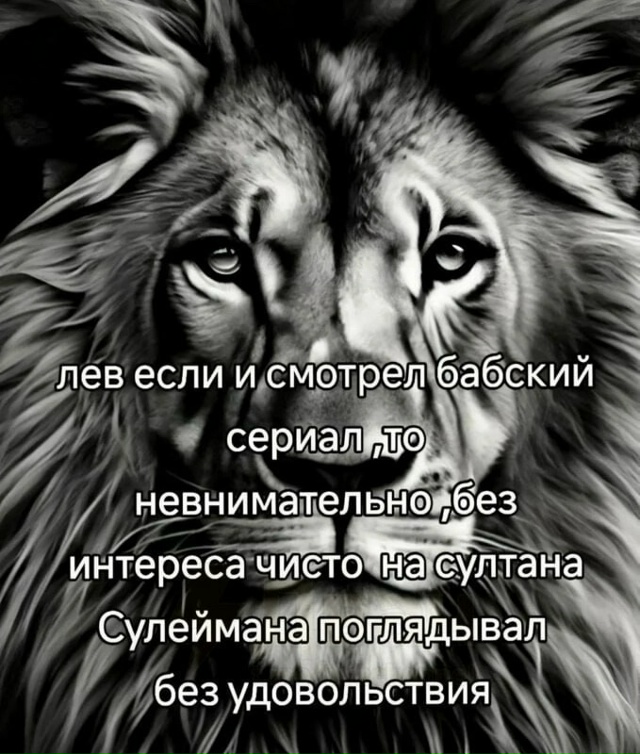 Сегодня отмечается всемирный день льва😼