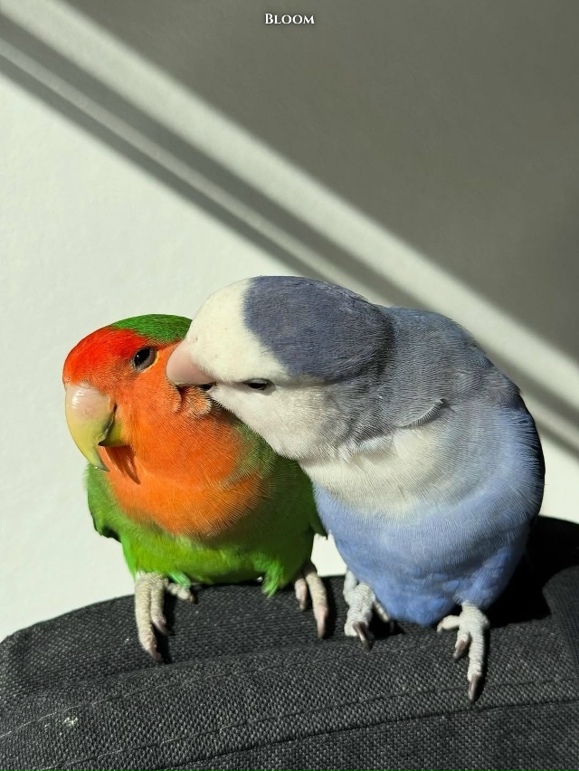 Они вместе уже 12 лет