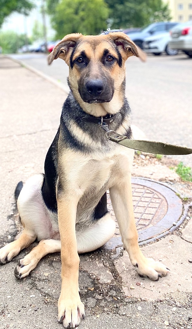 Она правда классная!
Но так никем пока и не замечена.
#М?...