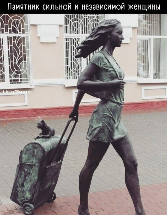 Без котика никуда 😁