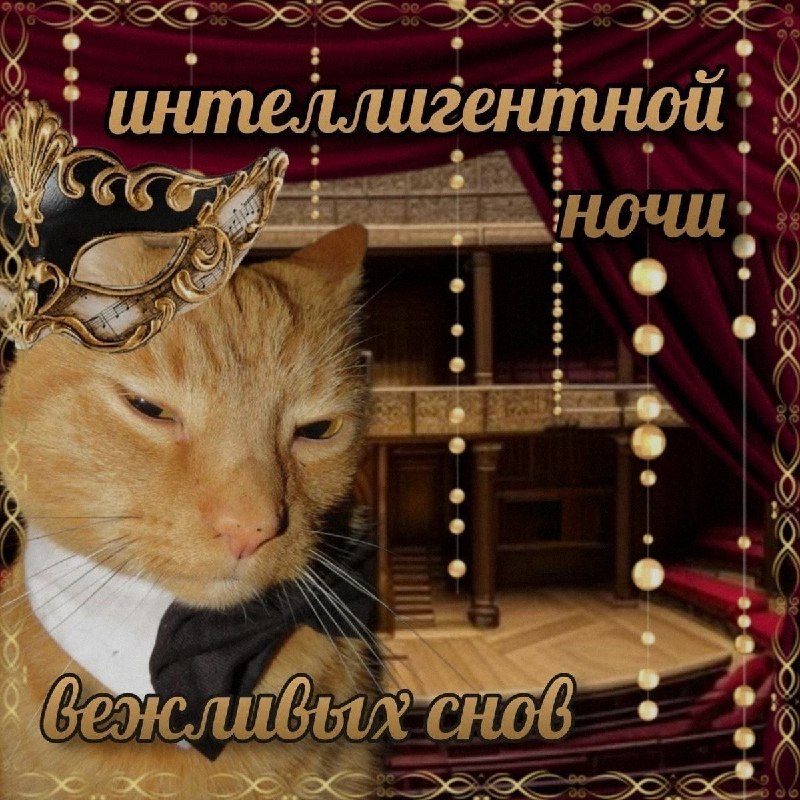 Ночная подборочка
Спать, режим