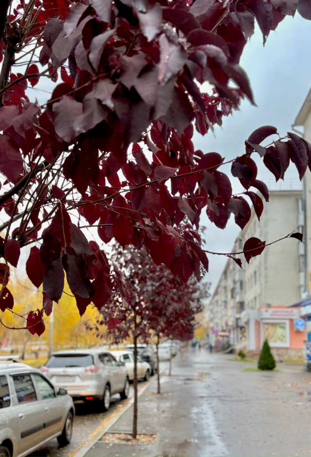 Осенний Нефтекамск 🍁