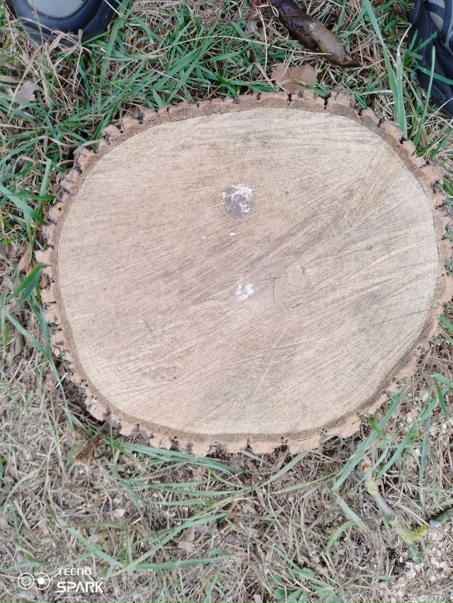 Вдоль ленинградского проспекта спилили деревья? Зачем...