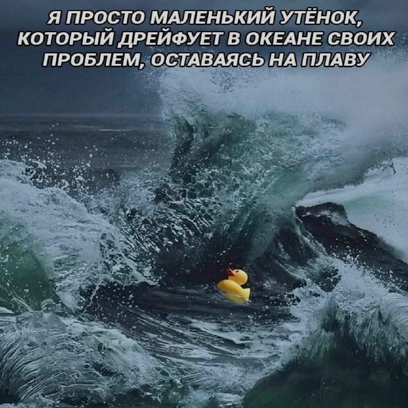 Ночная подборочка
Спать, режим