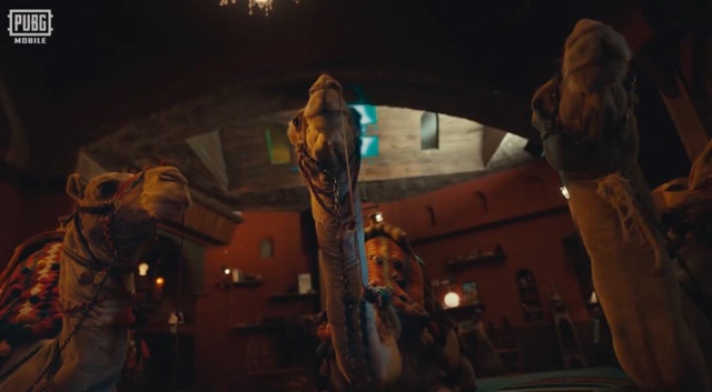 ? Арабский блогер Bandar Madkhali (3,5 млн подписчиков в Instagram) ...