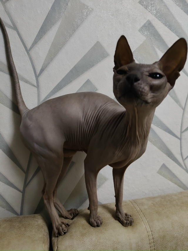 Вездесущие всратыши♥️♥️♥️