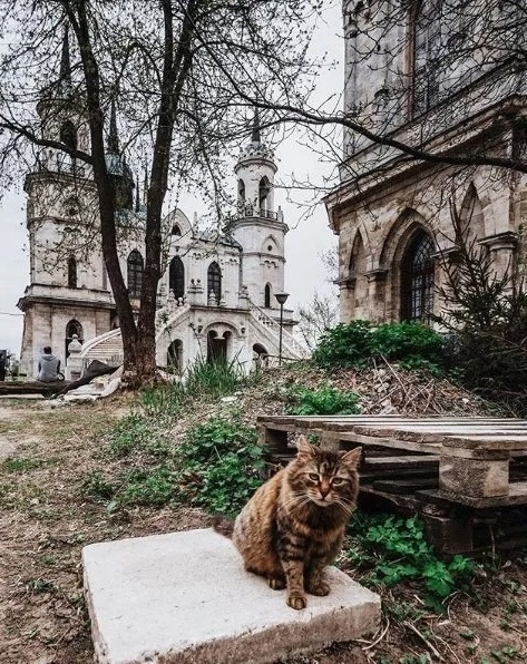 Страж древнего храма
Село Быково