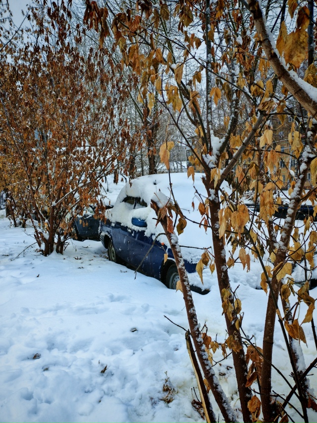 Κaдpы cнeжнoгo Ηoвocибиpcкa oт нaшeгo пoдпиcчикa ☃️