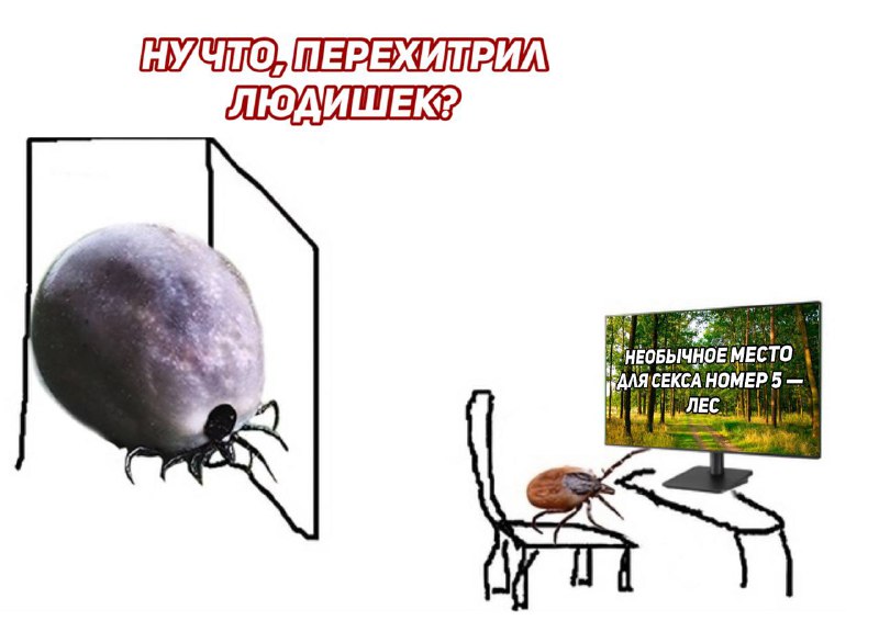Мужик занялся сексом в лесу и получил 4 клеща на член
Двое из Новосибирска обратились в больничку с