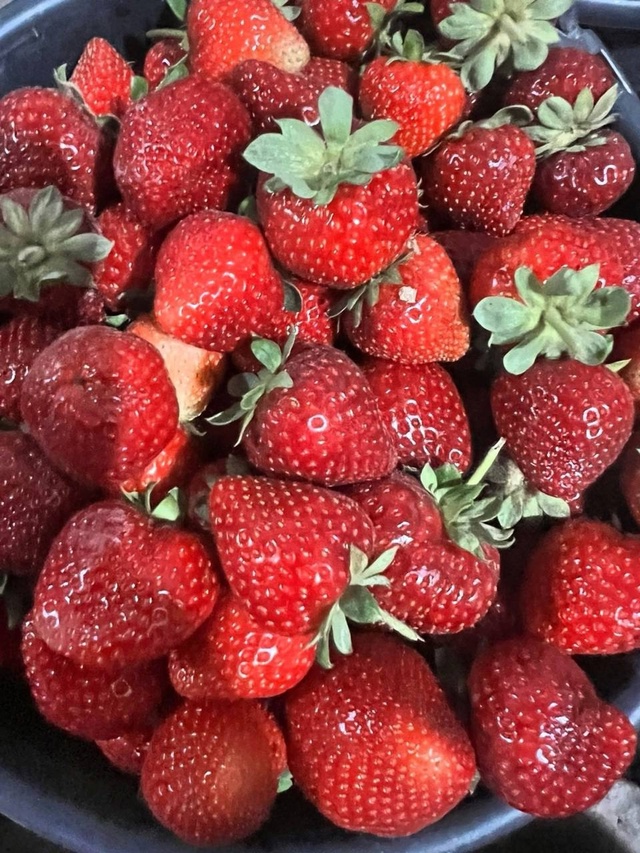 ⚠🍓⚠🍓⚠🍓⚠🍓⚠🍓 Ягодный фейерверк!!!!! Четверг-пятн?...