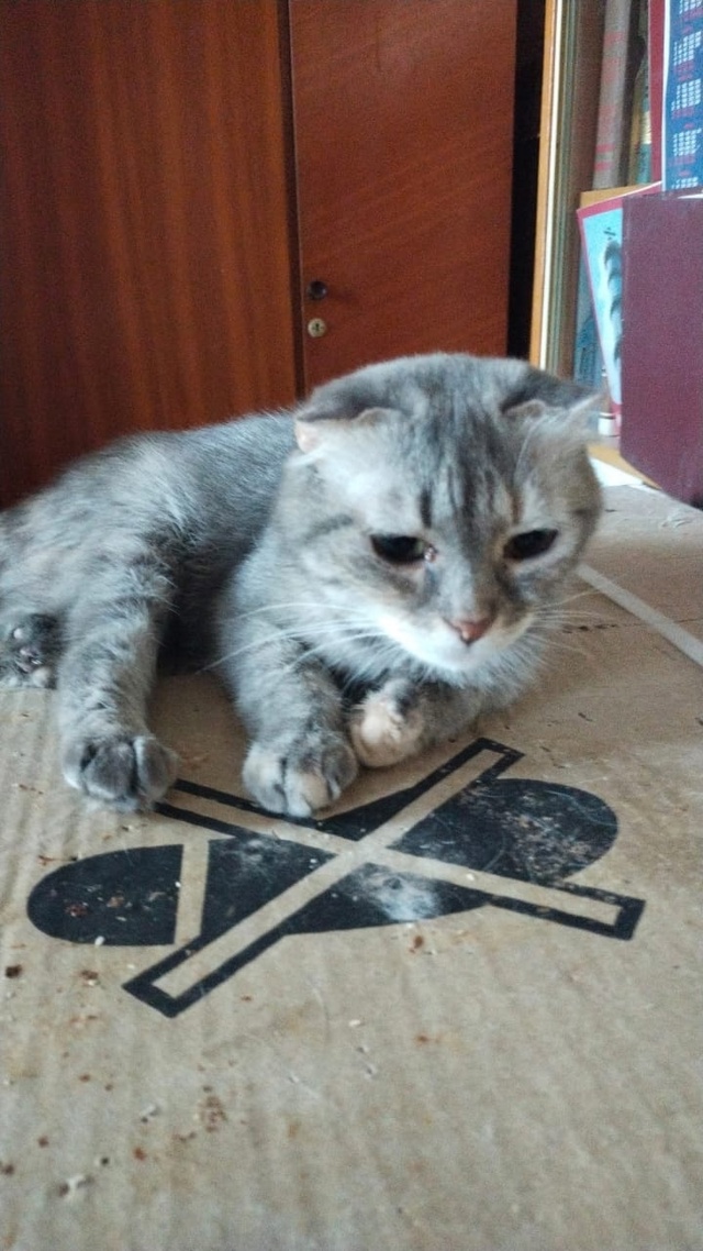 Воронеж, нужна помощь.
Утро 15 июля выдалось для Вороне?...