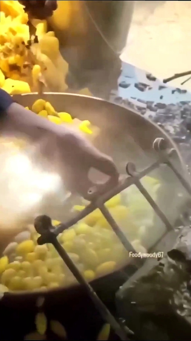 Так происходит процесс производства натурального шёл?...