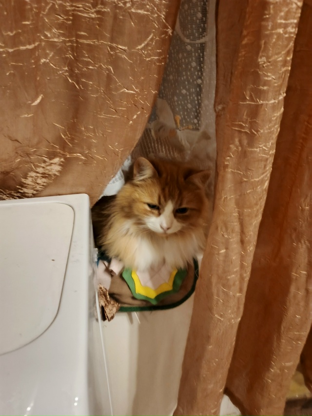 Александр Шурик