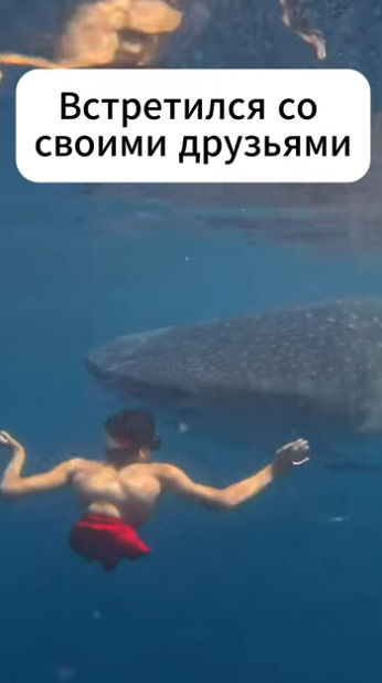 А они точно его друзья?