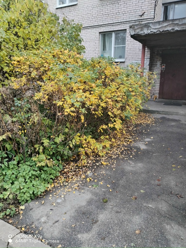 Добрый день! Опубликуйте пожалуйста. Крик души. Аммерм?...