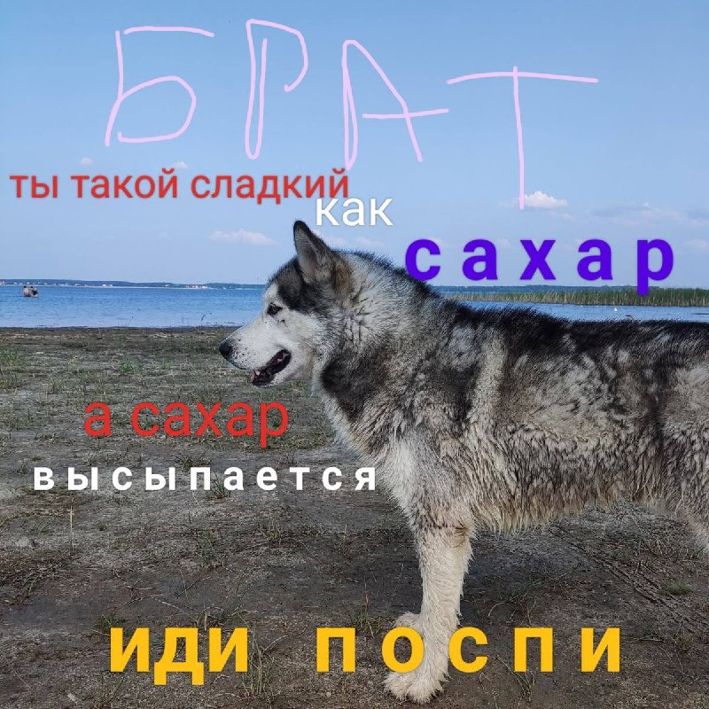 Мои шедевронавыки утешения, когда кто-то рядом со мной начал плакать, и мне надо его успокоить