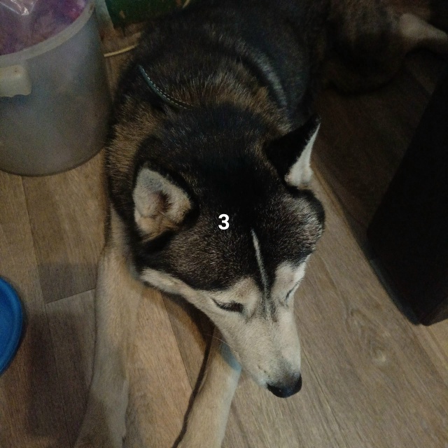 #ПотерялиНашлиПомогите
1 Нашли телефон, Самсунг, на ст...