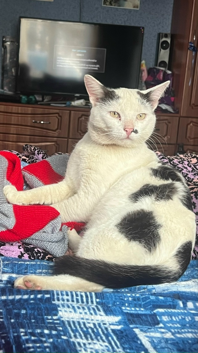 Не задалось у меня с принтами на футболку, поэтому выши...