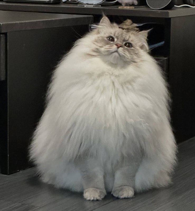 Грозовое облачько :3