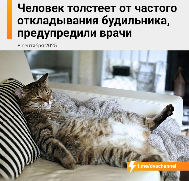 Привычка часто откладывать будильник приводит к ожирению, предупредили врачи
Каждый раз, когда чело