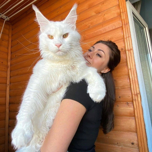 Учёные сделали неожиданное и тревожное открытие😅
Ис...