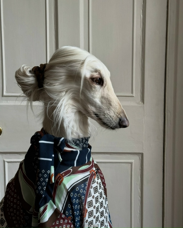 Что вы вообще знаете о стиле? Что?
Это собака Саманта —...