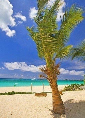 Карибские острова.