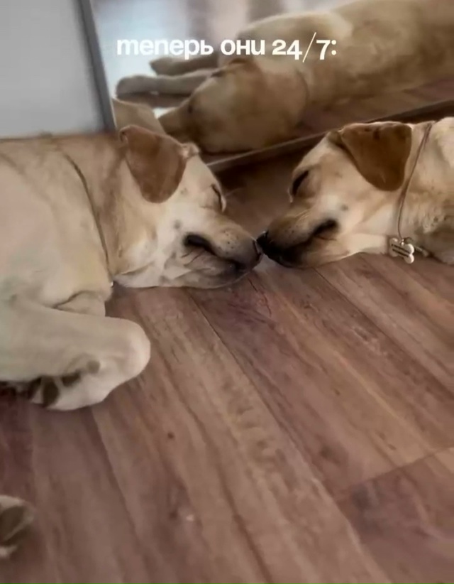 Главное - уют