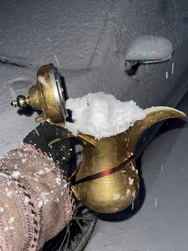 В Саудовской Аравии выпал снег — в некоторых районах это произошло впервые за 50 лет
Сугробы появил