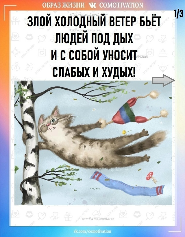 Ловите рецепт, который работает!