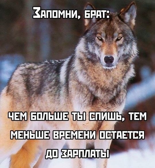 запомни