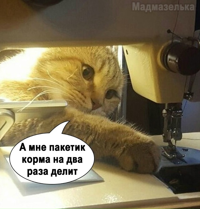Какой коварный план)