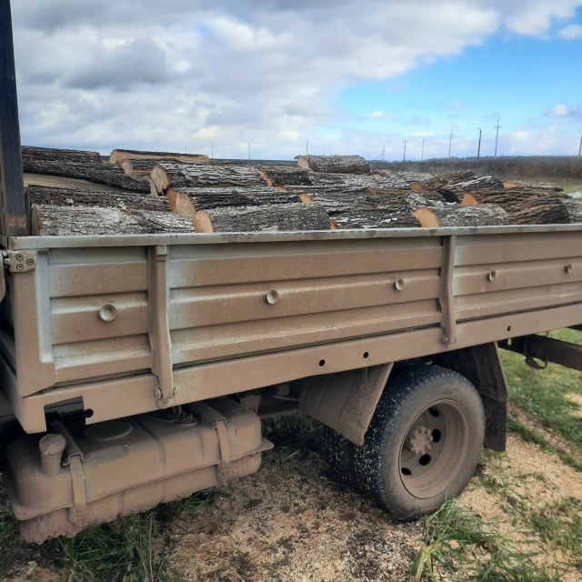 Продам дрова липовые сухие в чурках.цена 10500 р.
Тел.89378419...