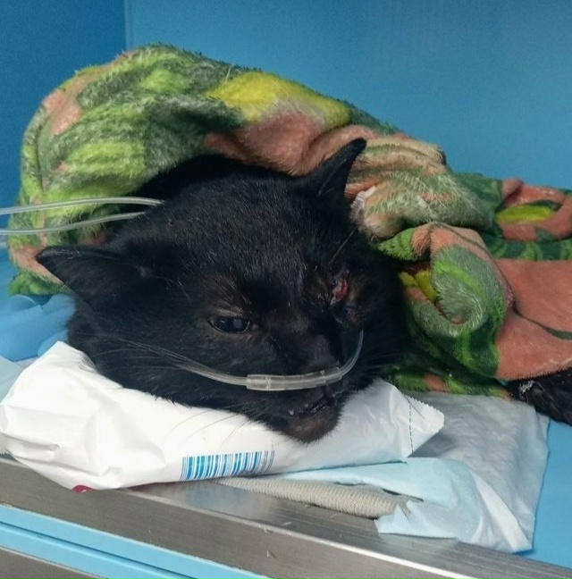 Хочется от всей души поблагодарить всех, кто проникся ?...