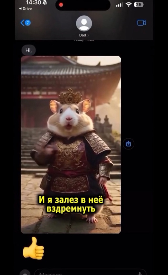 Девушка рассказала, что отец случайно запёк её хомяка ?...