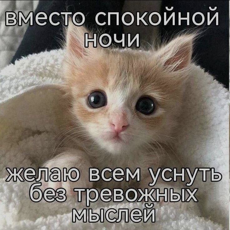 Ночная подборочка
Спать, режим