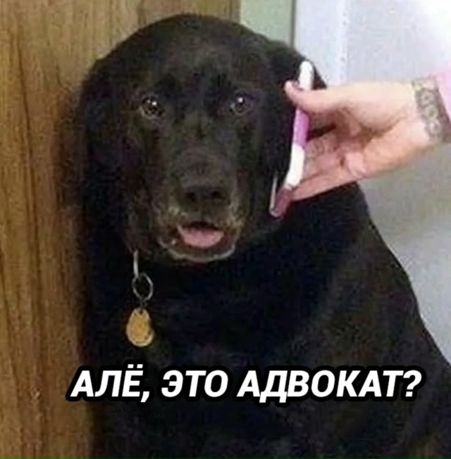 НУ это умышленная подстава