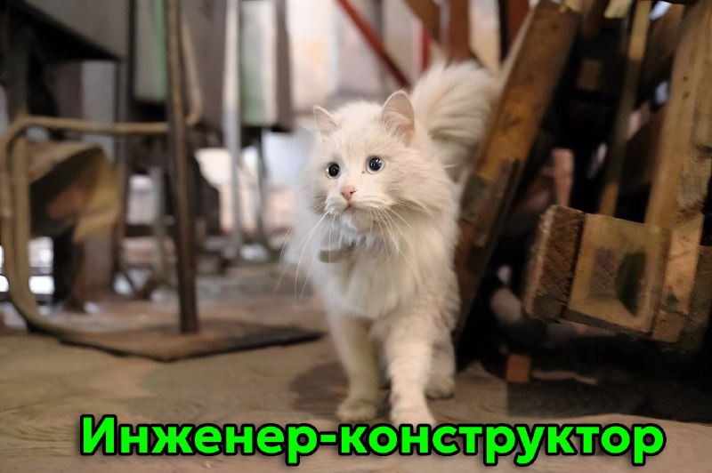 Сегодня отмечается День трудяги
Узнал себя?