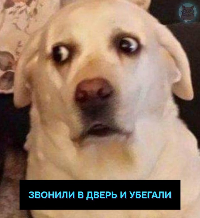 Когда тебе немного за 30 лет