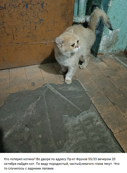 Пост добра. Распространите, пожалуйста.