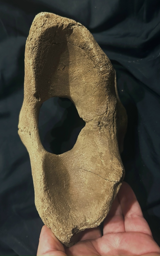 Передам за шоколадку школьному музею города (не района...