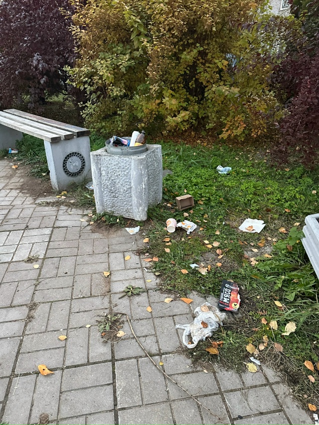 Вокзальная 6 вторую неделю лежит этот мусор!