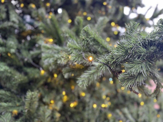 Полируют лед, включают гирлянды: Балашиха готова к отк?...