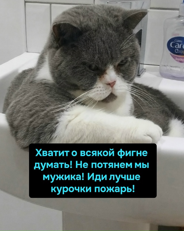 Наташа, мужик — это не только романтика, но и носки, веч...